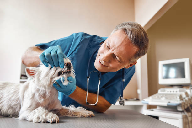 Best Pediatric Emergency Dentist in Nichols Hills, OK